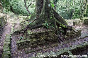 Palenque - Chiapas - Mexique