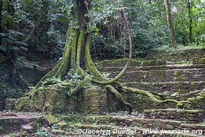 Palenque - Chiapas - Mexico