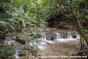 Palenque - Chiapas - Mexique