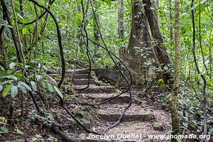 Palenque - Chiapas - Mexico