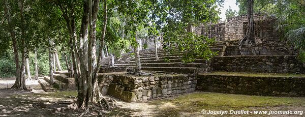 Calakmul - Campeche - Mexico