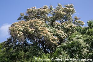 Route 200 - Michoacán - Mexique