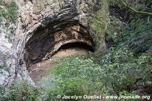 Chauve-souris - Campeche - Mexique