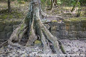 Calakmul - Campeche - Mexique