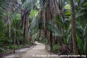 Kohunlich - Quintana Roo - Mexico