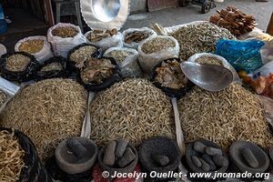 Pátzcuaro - Michoacán - Mexico