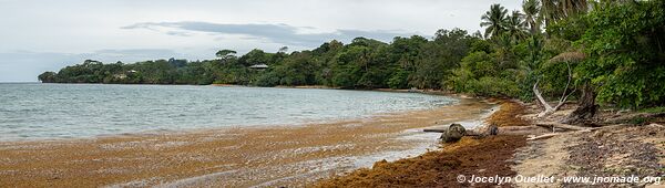 Isla Colón - Archipel de Bocas del Toro - Panama