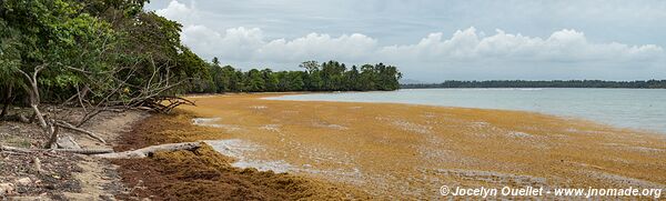 Isla Colón - Archipel de Bocas del Toro - Panama