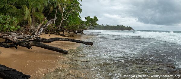 Isla Colón - Bocas del Toro Archipelago - Panama