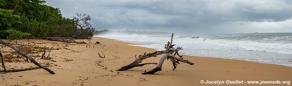 Playa Bluff - Isla Colón - Archipel de Bocas del Toro - Panama