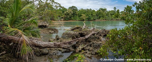 Isla Colón - Archipel de Bocas del Toro - Panama