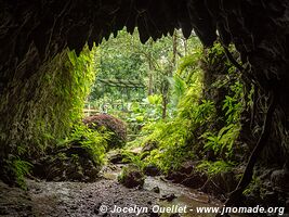 La Gruta - Isla Colón - Archipel de Bocas del Toro - Panama