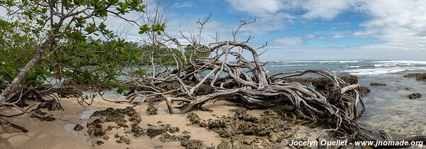 Isla Colón - Archipel de Bocas del Toro - Panama