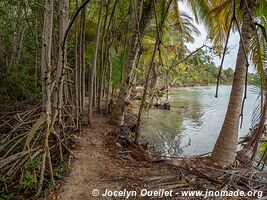 Boca del Drago - Isla Colón - Archipel de Bocas del Toro - Panama