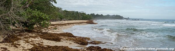 Red Frog Beach - Isla Bastimentos - Bocas del Toro Archipelago - Panama