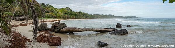 Red Frog Beach - Isla Bastimentos - Archipel de Bocas del Toro - Panama