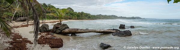 Red Frog Beach - Isla Bastimentos - Bocas del Toro Archipelago - Panama