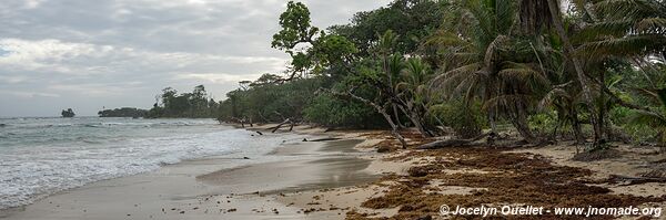 Isla Bastimentos - Archipel de Bocas del Toro - Panama