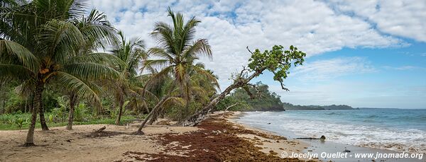 Isla Bastimentos - Archipel de Bocas del Toro - Panama