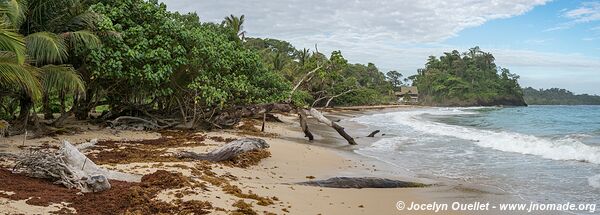 Isla Bastimentos - Archipel de Bocas del Toro - Panama