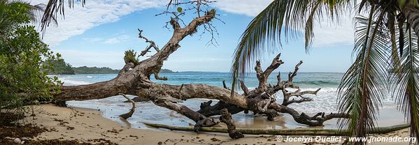 Isla Bastimentos - Archipel de Bocas del Toro - Panama