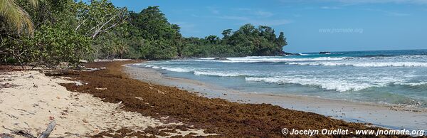 Red Frog Beach - Isla Bastimentos - Bocas del Toro Archipelago - Panama