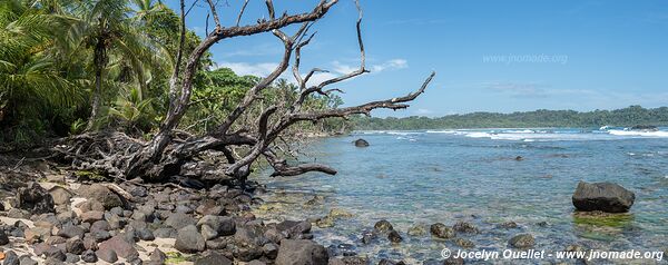 Isla Bastimentos - Archipel de Bocas del Toro - Panama