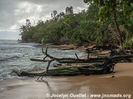 Playa Bluff - Isla Colón - Bocas del Toro Archipelago - Panama