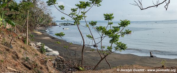 Golfo de Montijo - Panama