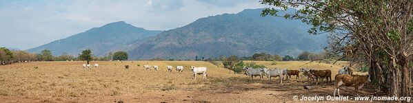 Las Flores - Péninsule d'Azuero - Panama