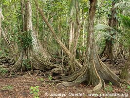 Isla Carenero - Archipel de Bocas del Toro - Panama