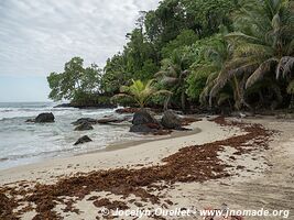 Red Frog Beach - Isla Bastimentos - Archipel de Bocas del Toro - Panama