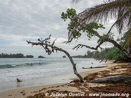 Isla Bastimentos - Archipel de Bocas del Toro - Panama