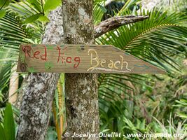 Red Frog Beach - Isla Bastimentos - Bocas del Toro Archipelago - Panama