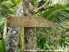 Red Frog Beach - Isla Bastimentos - Archipel de Bocas del Toro - Panama