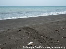 Playa Mata Oscura - Péninsule d'Azuero - Panama