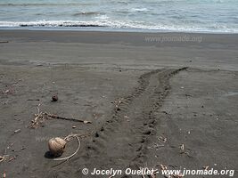 Playa Mata Oscura - Azuero Peninsula - Panama