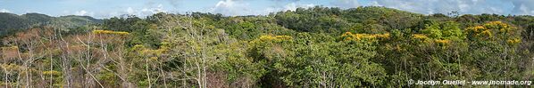 Route de Carti - Panama