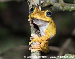 Route de Carti - Panama