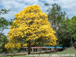 Canal de Panama - Panama