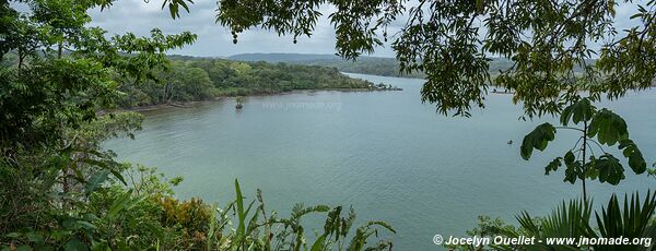 Área Protegida San Lorenzo - Panama