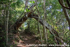 Parque Nacional El Imposible - El Salvador