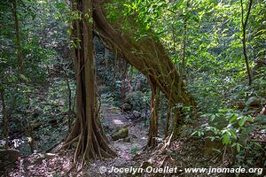 Parque Nacional El Imposible - El Salvador