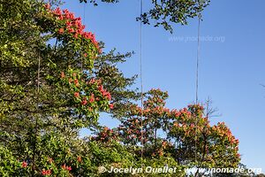 Termales de Alicante - Ruta de las Flores - El Salvador