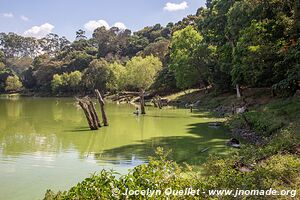 Laguna Cuzcachapa - Chalchuapa - El Salvador