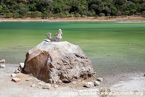 Laguna Alegría - Alegría - El Salvador