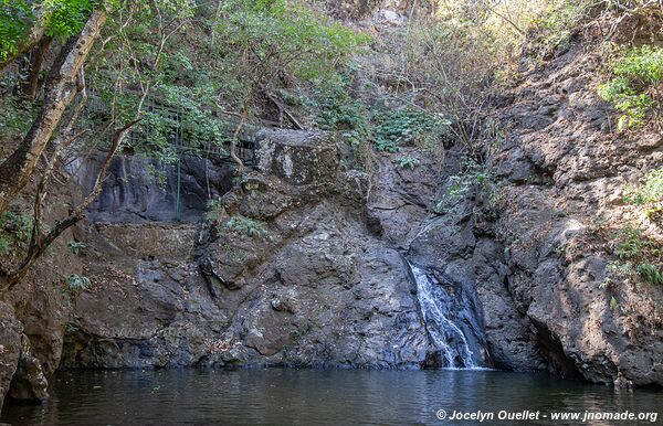 Bosque de Cinquera - El Salvador