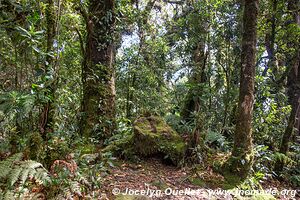 Cerro El Pital - El Salvador