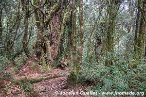 Cerro El Pital - El Salvador