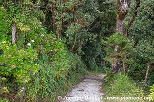 Cerro El Pital - El Salvador